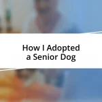 How I Adopted a Senior Dog