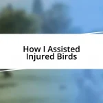 How I Assisted Injured Birds