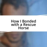 How I Bonded with a Rescue Horse