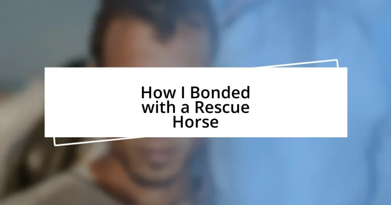 How I Bonded with a Rescue Horse