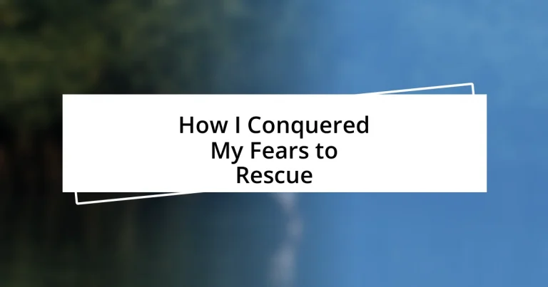 How I Conquered My Fears to Rescue