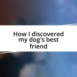 How I discovered my dog’s best friend