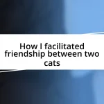 How I facilitated friendship between two cats