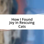 How I Found Joy in Rescuing Cats