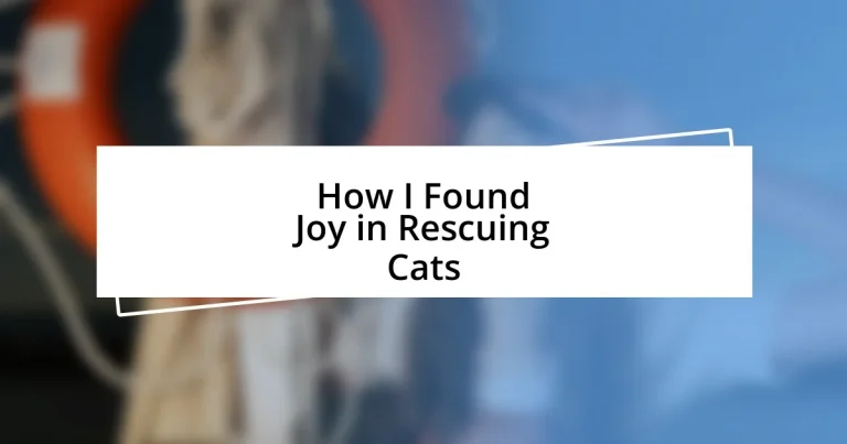 How I Found Joy in Rescuing Cats