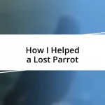 How I Helped a Lost Parrot