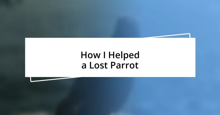 How I Helped a Lost Parrot