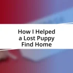 How I Helped a Lost Puppy Find Home