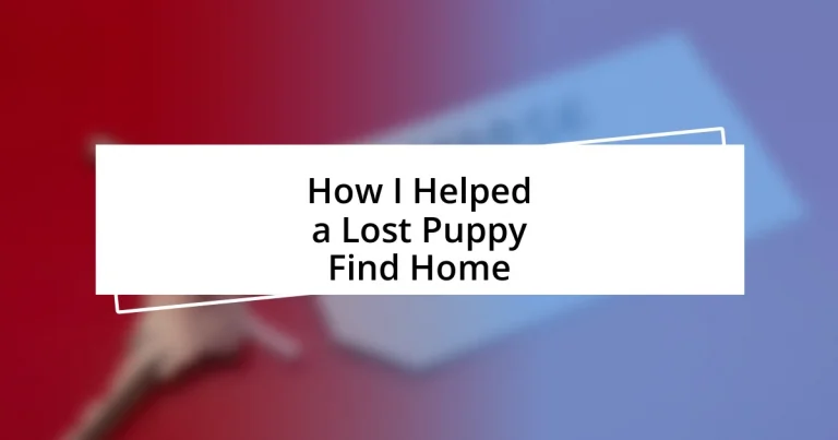 How I Helped a Lost Puppy Find Home