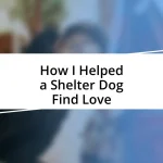 How I Helped a Shelter Dog Find Love