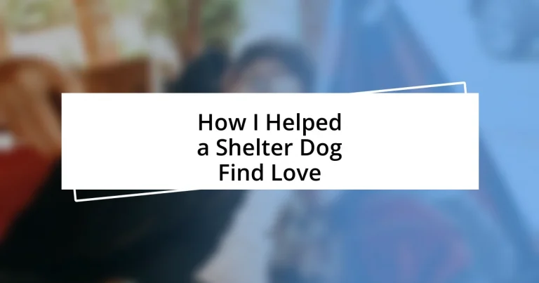 How I Helped a Shelter Dog Find Love