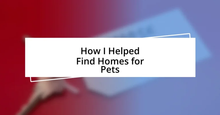 How I Helped Find Homes for Pets