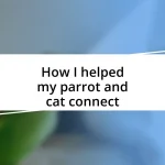 How I helped my parrot and cat connect