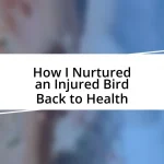 How I Nurtured an Injured Bird Back to Health