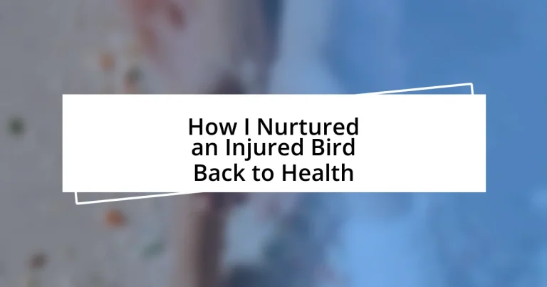 How I Nurtured an Injured Bird Back to Health