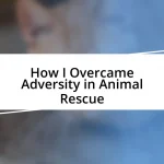 How I Overcame Adversity in Animal Rescue