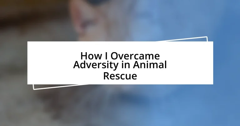 How I Overcame Adversity in Animal Rescue