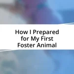 How I Prepared for My First Foster Animal