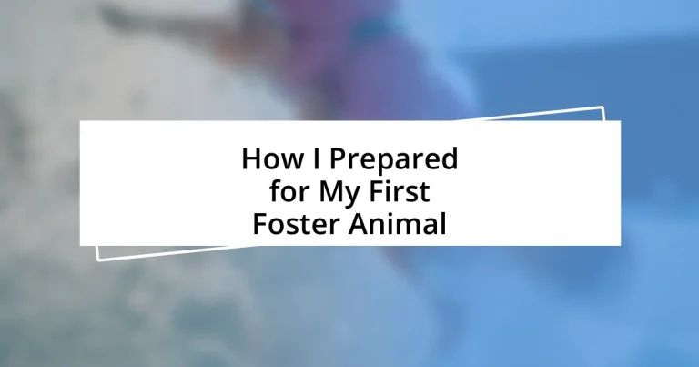 How I Prepared for My First Foster Animal