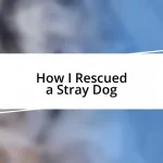 How I Rescued a Stray Dog