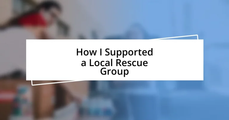 How I Supported a Local Rescue Group