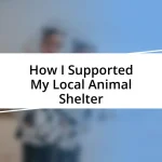 How I Supported My Local Animal Shelter