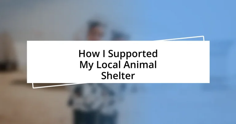 How I Supported My Local Animal Shelter