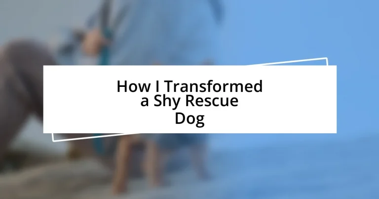 How I Transformed a Shy Rescue Dog