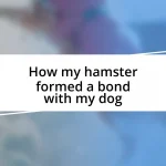 How my hamster formed a bond with my dog