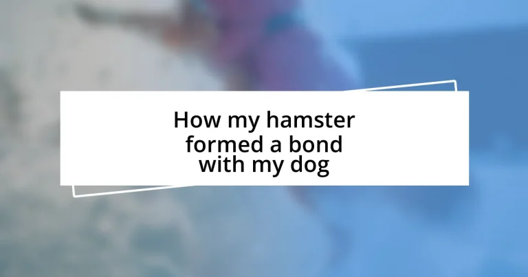 How my hamster formed a bond with my dog