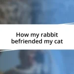 How my rabbit befriended my cat