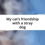 My cat’s friendship with a stray dog