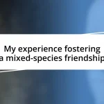 My experience fostering a mixed-species friendship