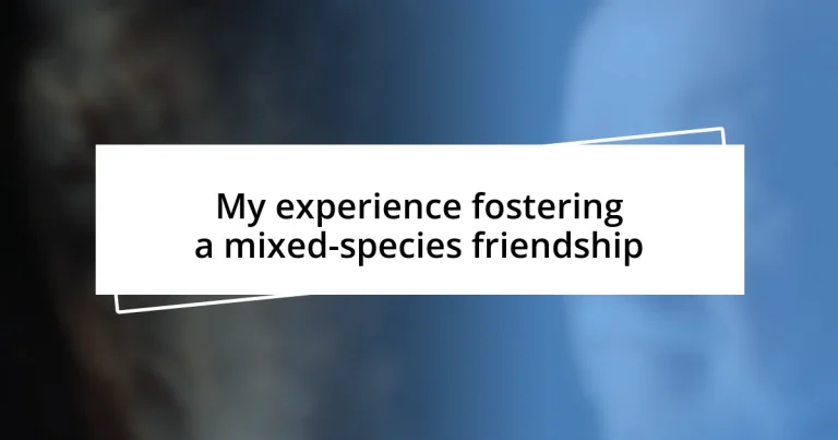 My experience fostering a mixed-species friendship