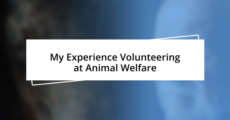 My Experience Volunteering at Animal Welfare