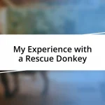 My Experience with a Rescue Donkey