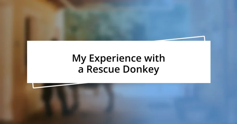 My Experience with a Rescue Donkey