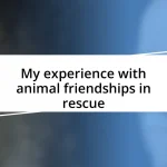 My experience with animal friendships in rescue