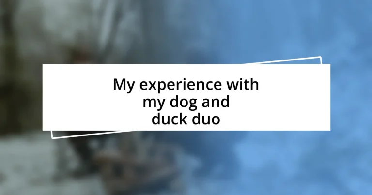 My experience with my dog and duck duo