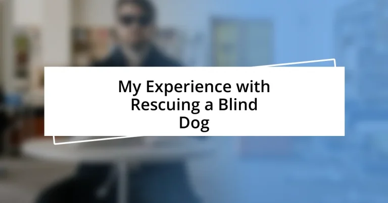 My Experience with Rescuing a Blind Dog