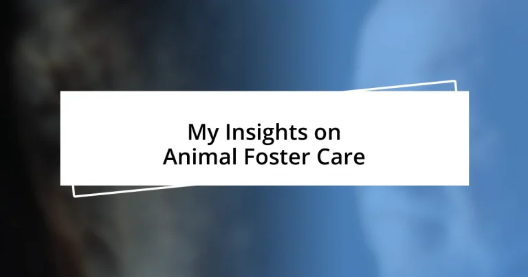 My Insights on Animal Foster Care