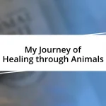 My Journey of Healing through Animals