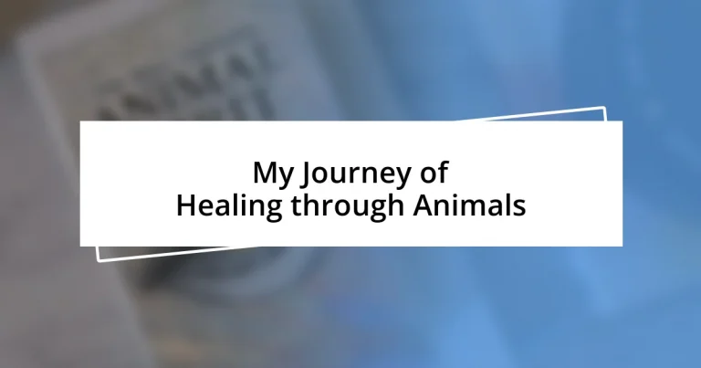 My Journey of Healing through Animals