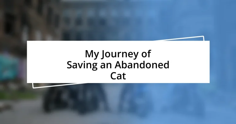 My Journey of Saving an Abandoned Cat