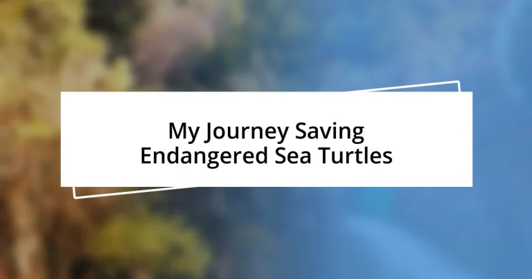 My Journey Saving Endangered Sea Turtles