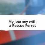 My Journey with a Rescue Ferret