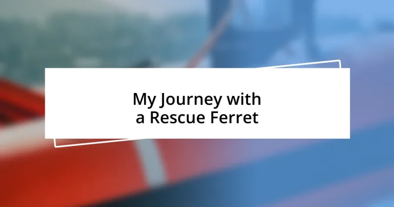 My Journey with a Rescue Ferret