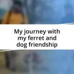 My journey with my ferret and dog friendship