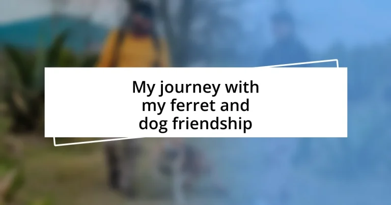 My journey with my ferret and dog friendship