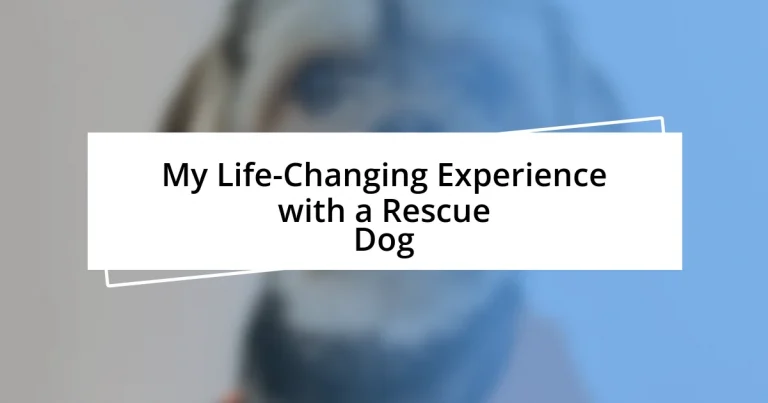 My Life-Changing Experience with a Rescue Dog